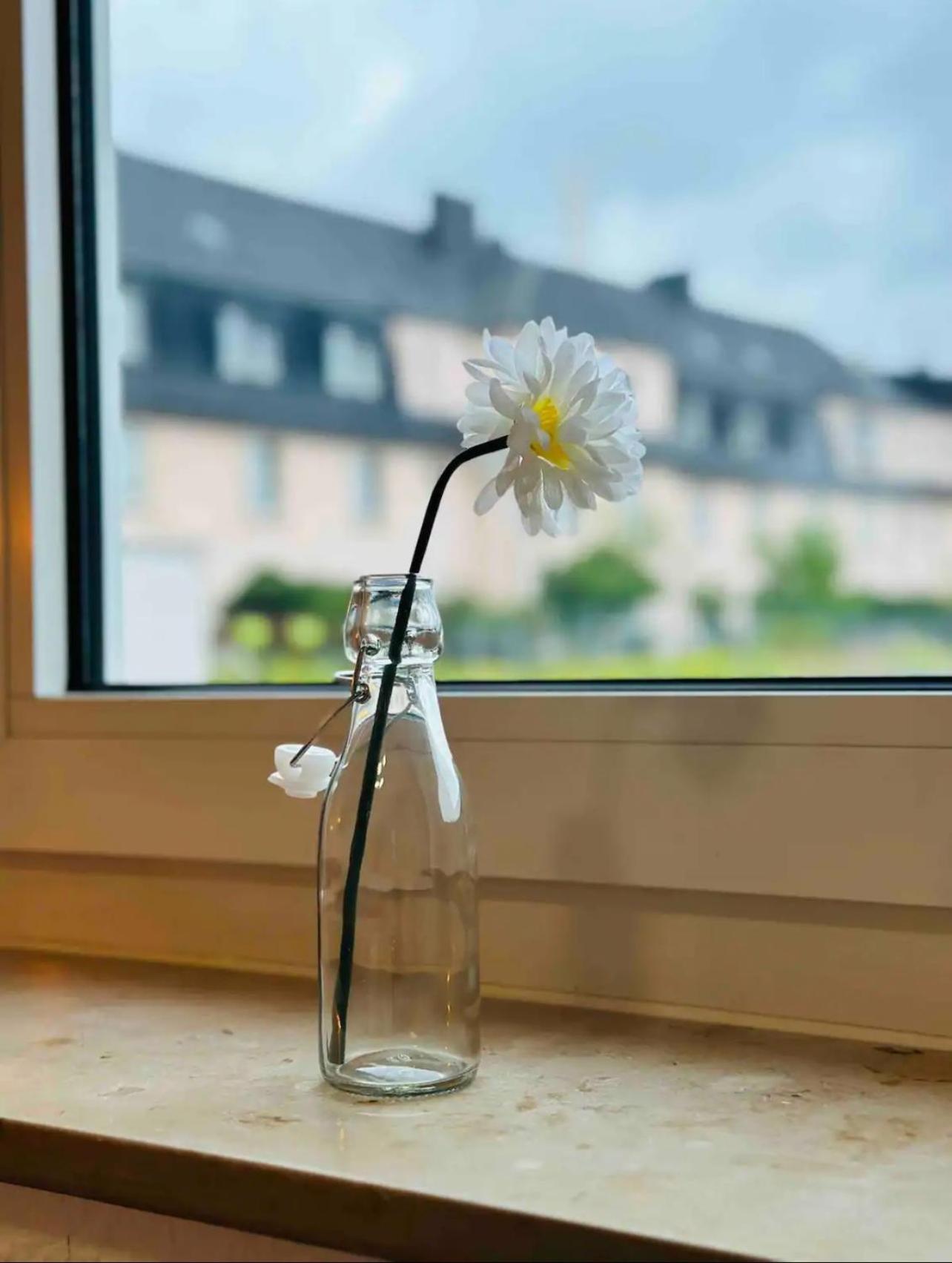 Apartment Zentral Gelegenes Und Stilvoll Moebliertes In Nur 5 Minuten Vom Hbf Und City, Ideal Fuer Pendler Und Messebesucher